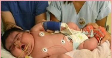 Самое большое количество рожденных детей одной женщиной за один раз: история, интересные факты Рекорд гиннесса самый крупный родившийся ребенок
